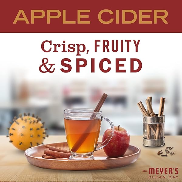 MRS. MEYER’S CLEAN DAY LIQUID DISH SOAP, BIODEGRADABLE FORMULA, LIMITED EDITION APPLE CIDER, 16 FL. OZ