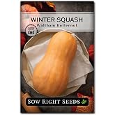 Sow Right Seeds - Waltham Butternut Squash Seed for Planting Outdoors | Plant non-GMO heirloom winter variety in outdoor home vegetable garden. Cold weather veggies for growing outside gardening.