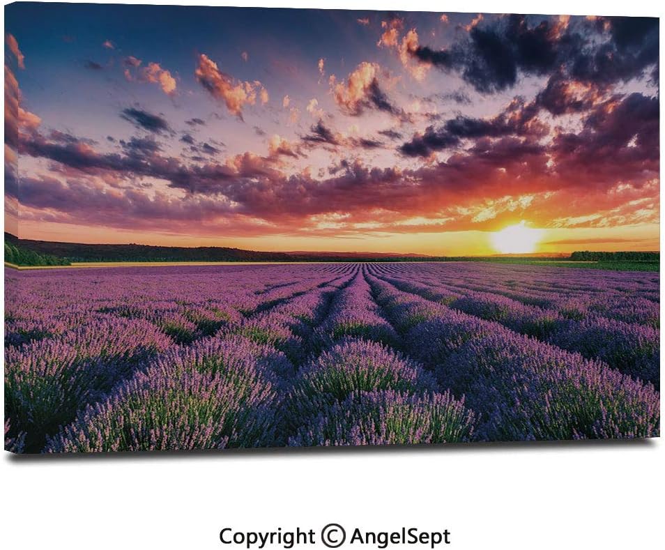 The 10 Best 3D Baseball Field Wall Sticker Home And Room Wall Decor