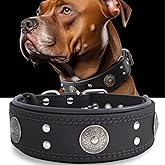 Genuine Leather Dog Collar for Large Dogs,2 in Wide Heavy Duty,BK-M | Handmade,Stainless Steel Buckle,Soft Padded,Alloy Studded,Luxury Eye-catching Design,Medium Large Giant Breeds,19.5-23.5 in