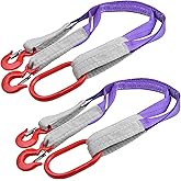 Vigtayue 2 PCS Lifting Slings Straps with Hooks - 3.3 FT, 4409LB Pounds Capacity, Polyester Bridle Sling, Heavy Duty Two Leg Rigging Strap for Engines, Cranes, Hoists, Truck
