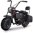 Oryxearth 36V 1000W Electric Kids Dirt Bike, 2-Speed Modes (15.5MPH/22MPH), 60-Min Runtime, 185lbs Capacity, Includes 2 Storage Bags, Red