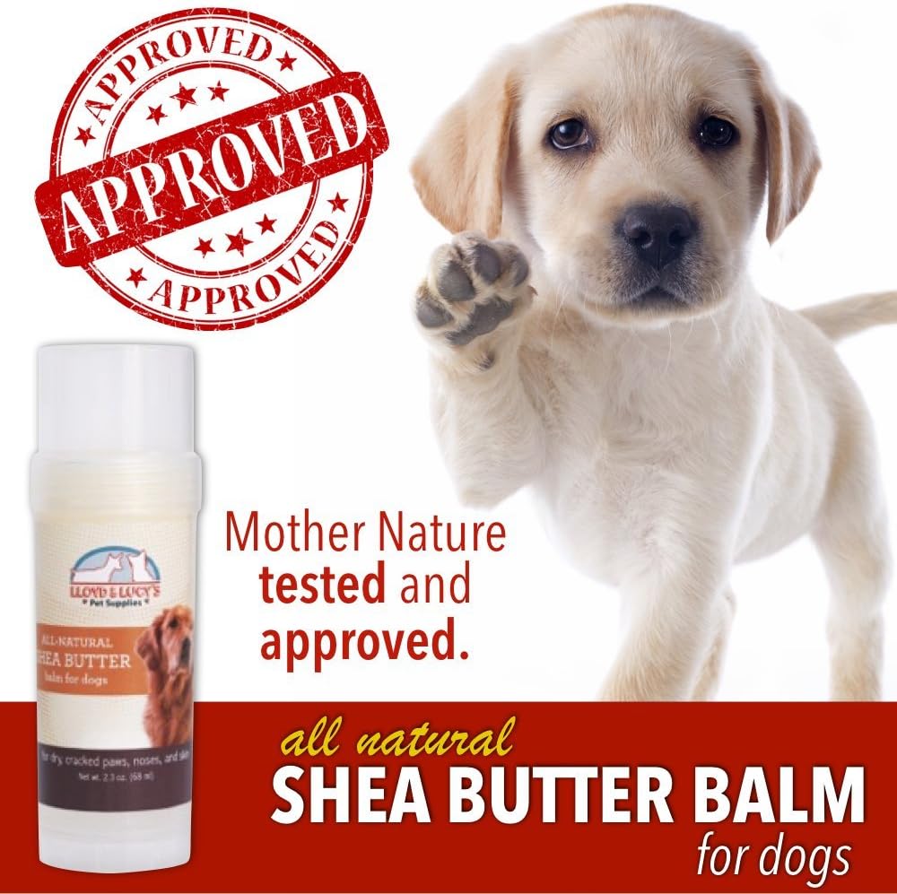 shea butter on dogs paws