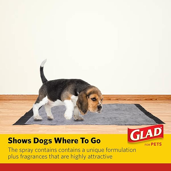 GLAD FOR PETS ATTRACTANT SPRAY FOR POTTY TRAINING DOGS & PUPPIES, PEANUT BUTTER SCENT, 16OZ – EFFECTIVE DOG POTTY TRAINING SPRAY, INDOOR OR OUTDOOR DOG POTTY TRAINING AID, 16OZ BOTTLE