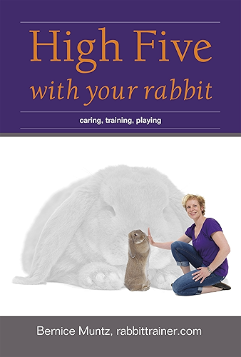 Download High five with your rabbit (English Edition) PDF