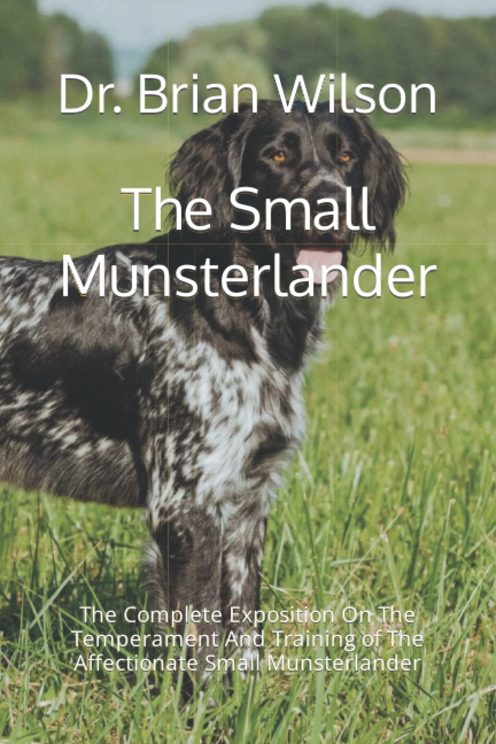 small munsterlander temperament