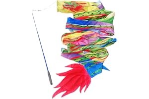 PAIKOOL 3D Flinging Dragon Dance Poi for Kids, Outdoor Exercise Cylinder-shaped Dragon Ribbon Streamer with Fiberglass Wand Flowy Toy Set