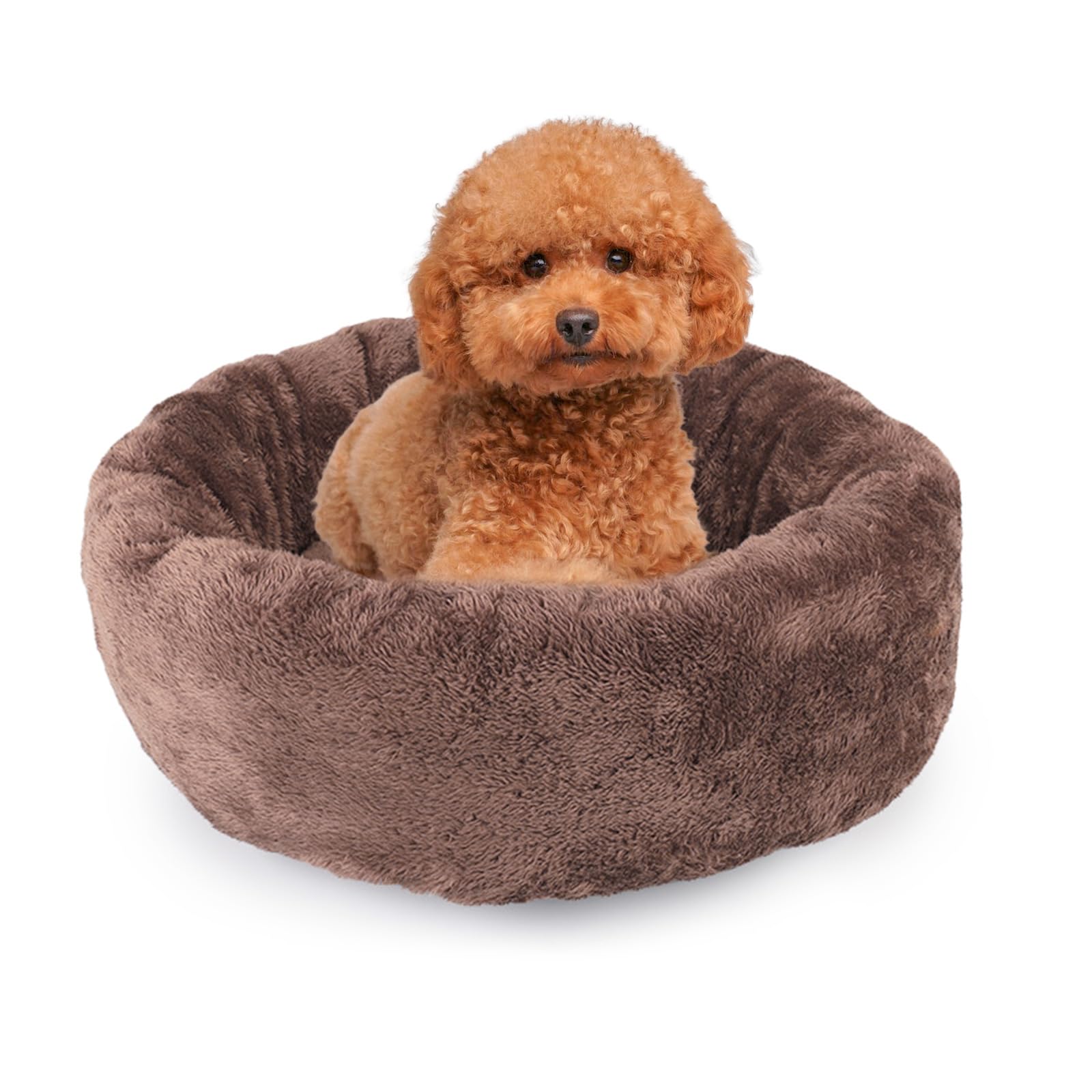 PETCUTE Dog Bed Cat Bed for Indoor Cats Small Medium Washable Cat Nest Bed Fluffy Warm Puppy Bed Donut for Winter