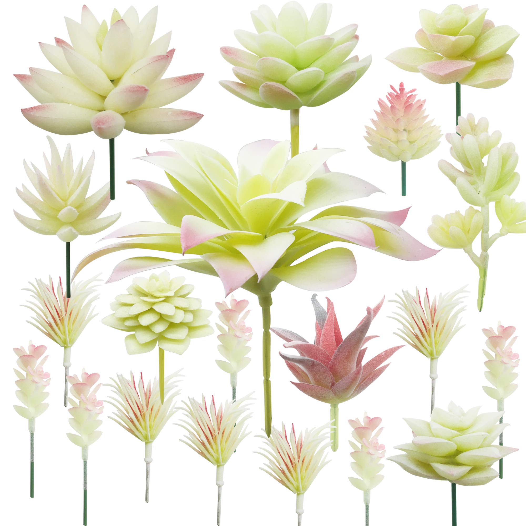 Cayway 20 PCS Artificial Succulents Picks Creamy White Artificial Succulent Plants, Fake Succulent Assortment in Flocked in Different Type for Indoor and Outdoor Home Decor Floral Arrangements