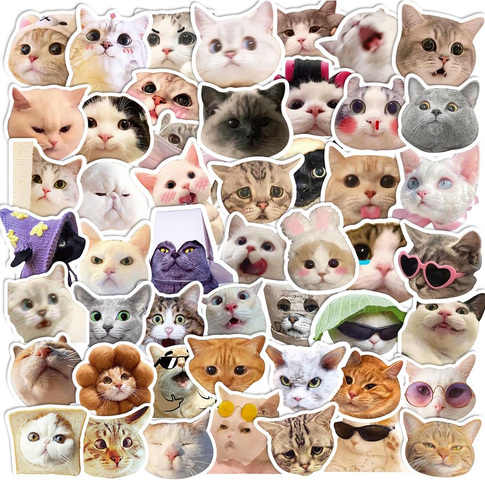 50Pcs Funny Cat Stickers, Auony Waterproof Vinyl Cartoon Animal Stickers for Cat Lovers Laptop, Skateboard, Water Bottles, Scrapbooking