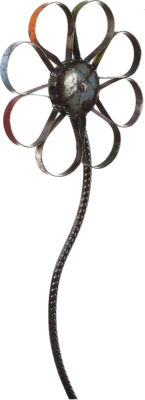 daisys dog empawrium