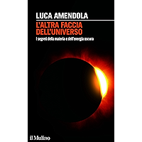L'altra faccia dell'universo: I segreti della materia e dell'energia oscura (Intersezioni Vol. 510) (Italian Edition) book cover