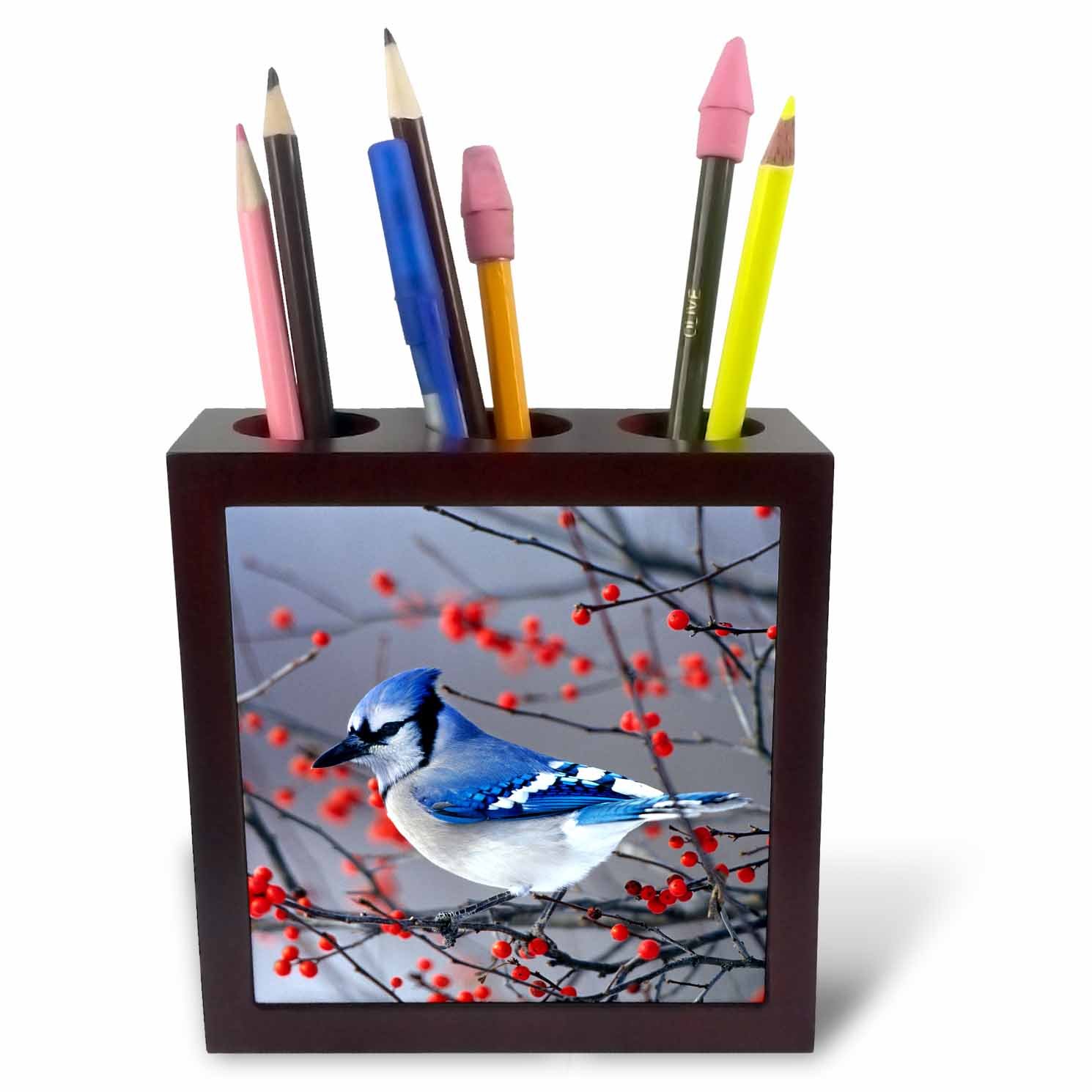 3dRose Blue Jay in Winterberry Bush in Winter, Marion County, Illinois - Tile Pen Holder, 5-Inch (Ph_259293_1)