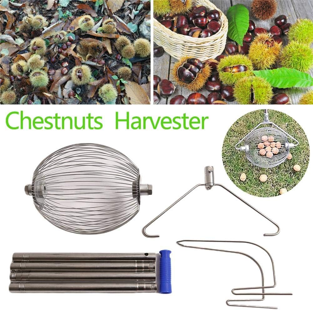 Nut Gatherer, Fruit Collector Quick Fruit Picker Ball Picking Orchard Tool Aluminum