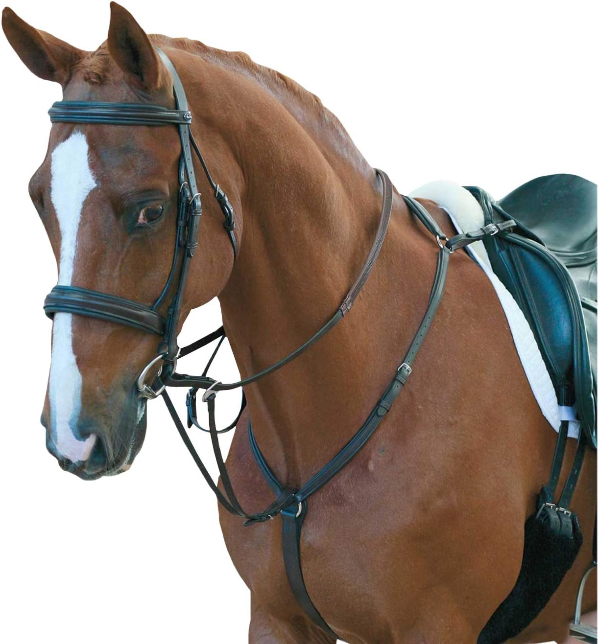 Hunter Jumper Breastplate with Martingale for Horses Adjustable Brown