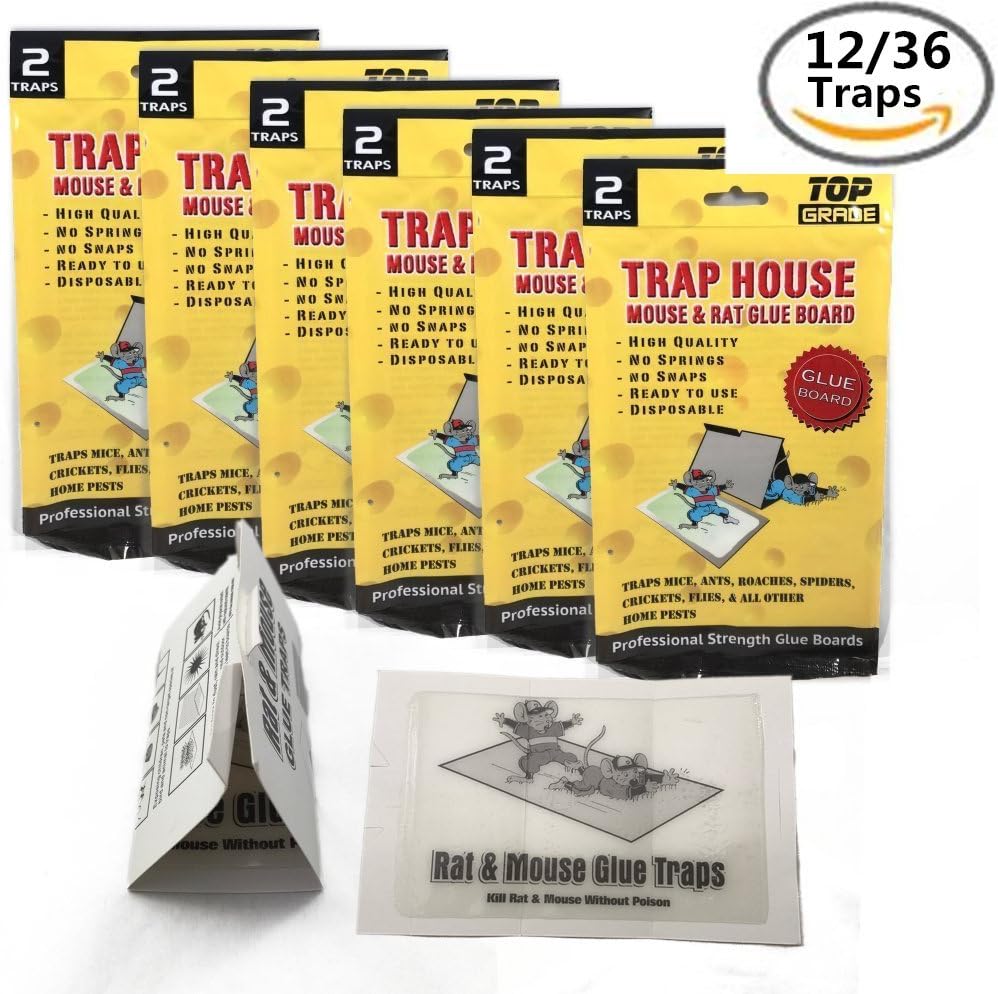 Top Grade Mouse Trap - Non-Toxic, Peanut Butter Scented Sticky Bug, Mouse And Rat Glue Boards - 36 Pack