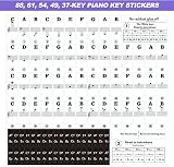 SenZee Piano Keyboard Stickers 88/61/54/49/37 Keys Removable Note Labels view 3