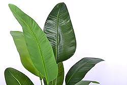 Aphighjoy Bird of Paradise Artificial Plant - Fake