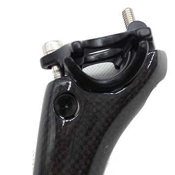 31.6 300mm （TNI/ティーエヌアイ)（自転車用シートポスト） シートピラー LW168 (カーボン)