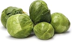 Brussels Sprouts, 16 Oz