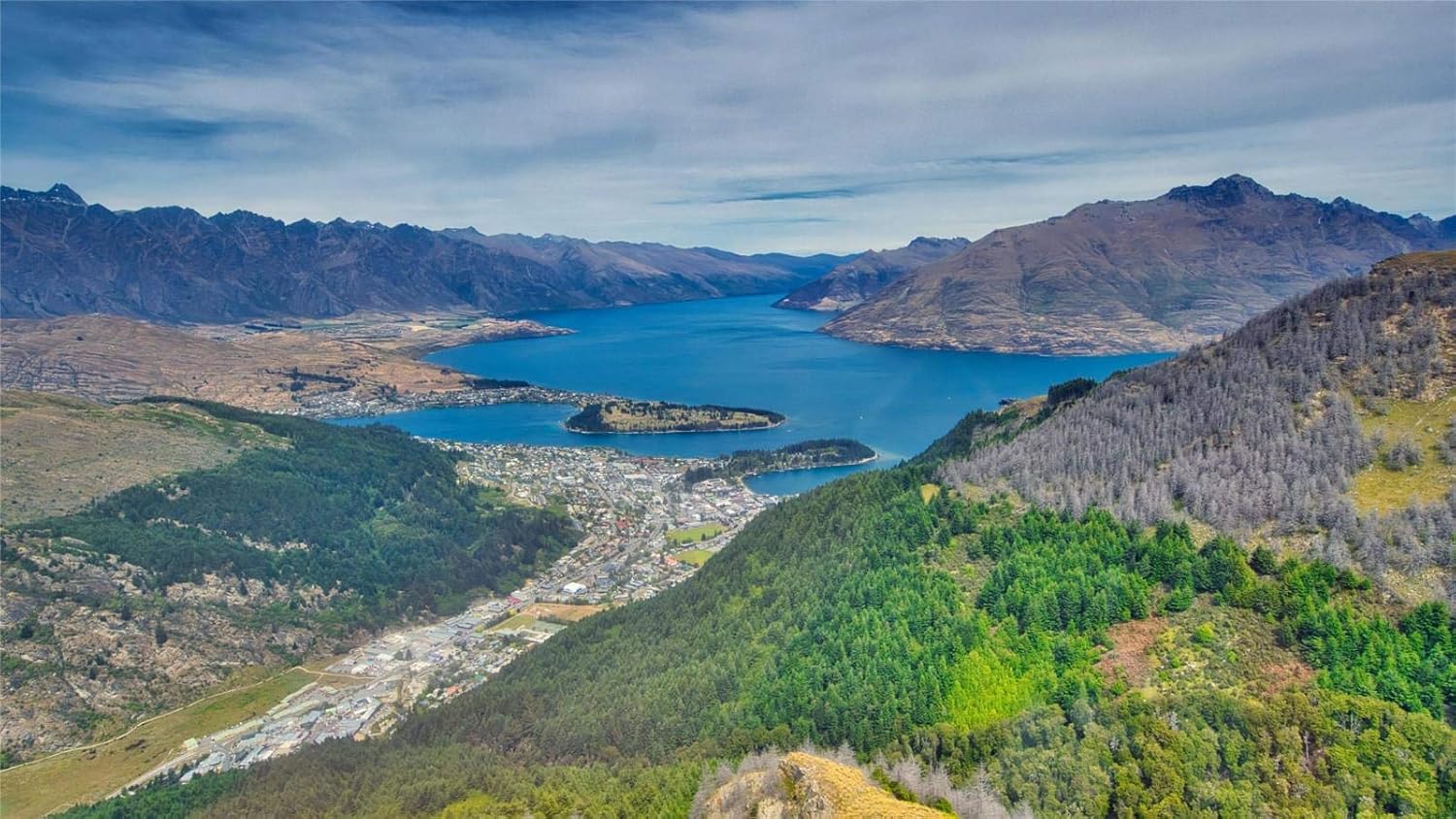 Amazon Com Queenstown New Zealand Painting By Numbers Diy Unique
