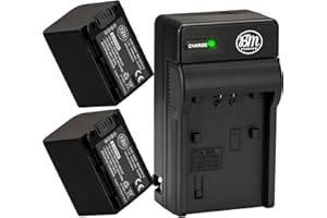 Big Mike's Pack Of 2 NP-FV70 Batteries & Battery Charger Kit for Sony Handycam Camcorder + More!!