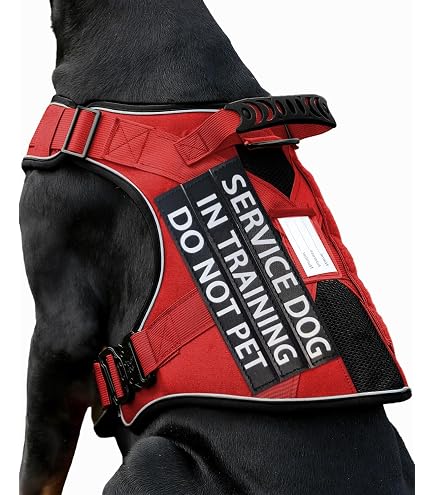 Doggie Stylz Hunde-Geschirr Mit Alert-Patches – Reflektierend, Brustumfang 12-16 Zoll, Violett