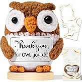 Thank You Gifts for Women Emotional Support Crochet Plush, Handmade Funny Owl Crochet w/ Card Employee Appreciation Gifts for Teacher, Valentines Day Birthday Gift for Women Coworker Nurses Boss Staff