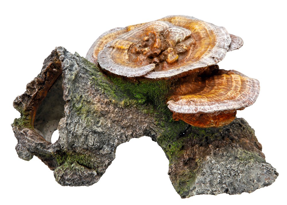 Nobby Wood Cave with Mushrooms Aquarium Ornaments, 18 x 19 x 10 cm