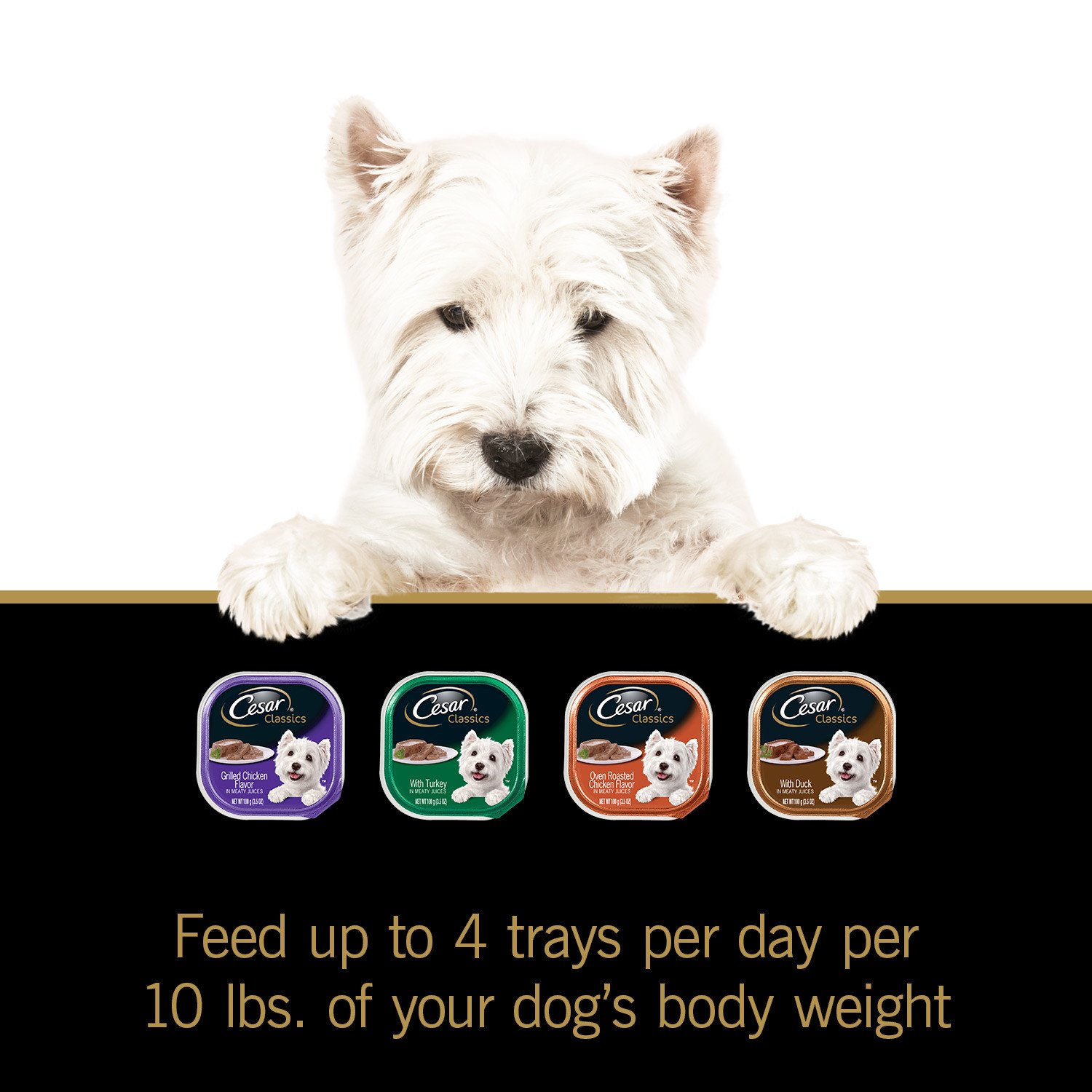 The Best Dog Food In 2020 What Do Today’s Dogs Like The Most?