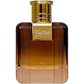 Diane Castel Feu Ardent - Woody Amber Fragrance - Enchanting Perfume for Women and Men - Opens with Green Notes, Tobacco, and Resins - 3.3 oz