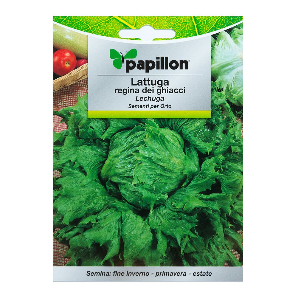 Semillas Lechuga Reina Del Hielo (7 Gramos): Amazon.es: Jardín