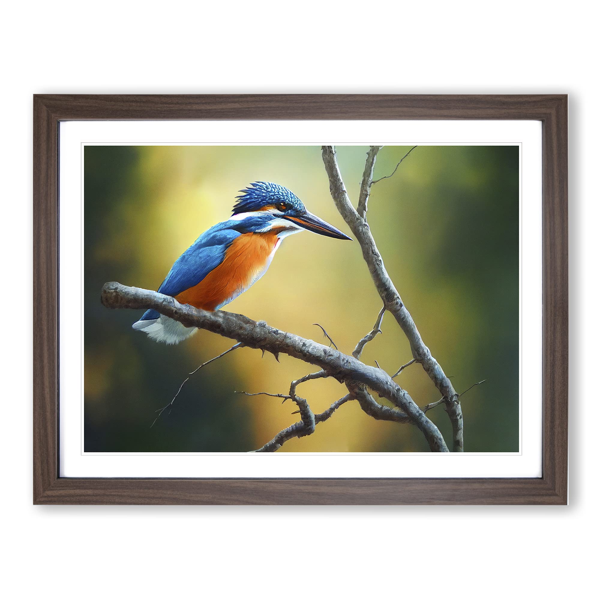 Cool Kingfisher Bird Framed Print | A4 Walnut Framed Wall Art | Ready to Hang | Modern Nature Picture | Living Room Bedroom Lounge Office