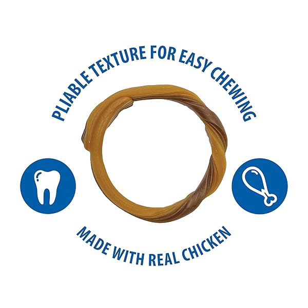N-BONE SENIOR DENTAL RINGS CHICKEN FLAVOR DOG TREATS, 7 COUNT 9.8-OZ BAG