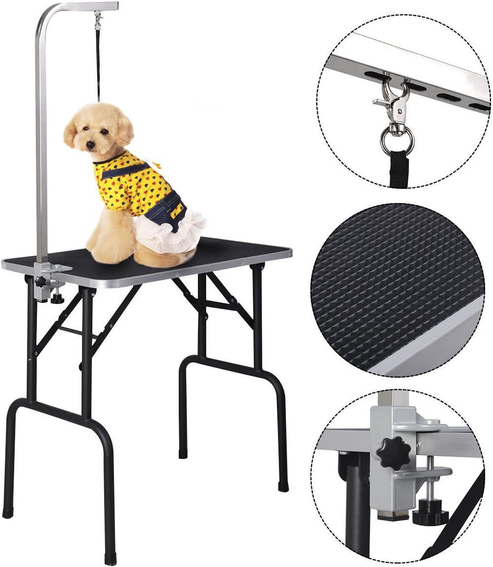 large dog shock collars