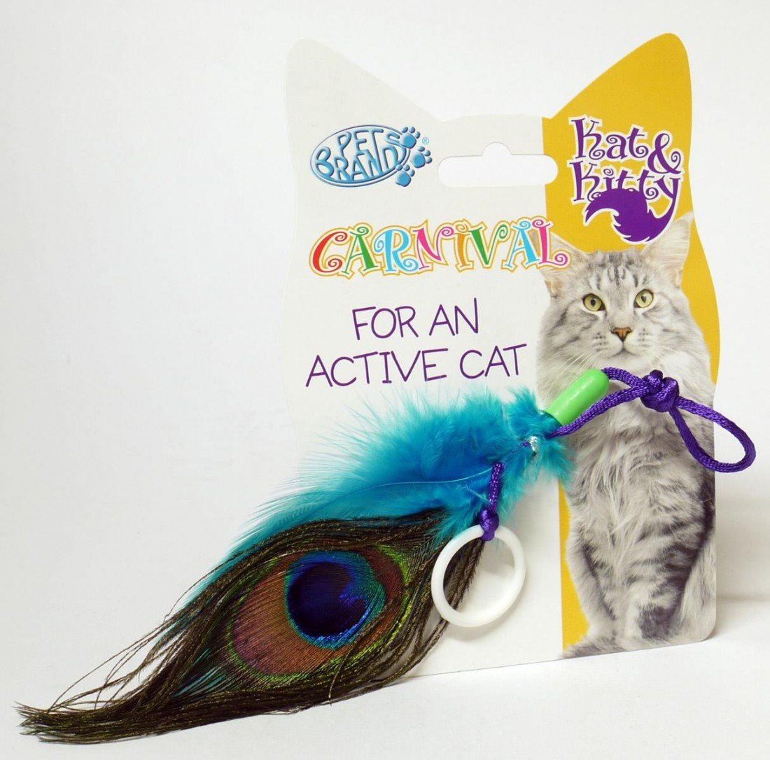 Peacock Feather Cat Toy Amazon.co.uk Pet Supplies