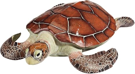 Amazon Com Design Toscano Flat Back Sea Turtle Statue Outdoor Statues Garden Outdoor