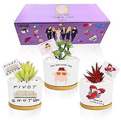 Funny TV Show Planter Pots,TV Show Merchandis Gifts
