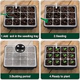 VonLux Seed Trays 10-Pack with Humidity Dome Base 12 Cells Each Propagator view 4