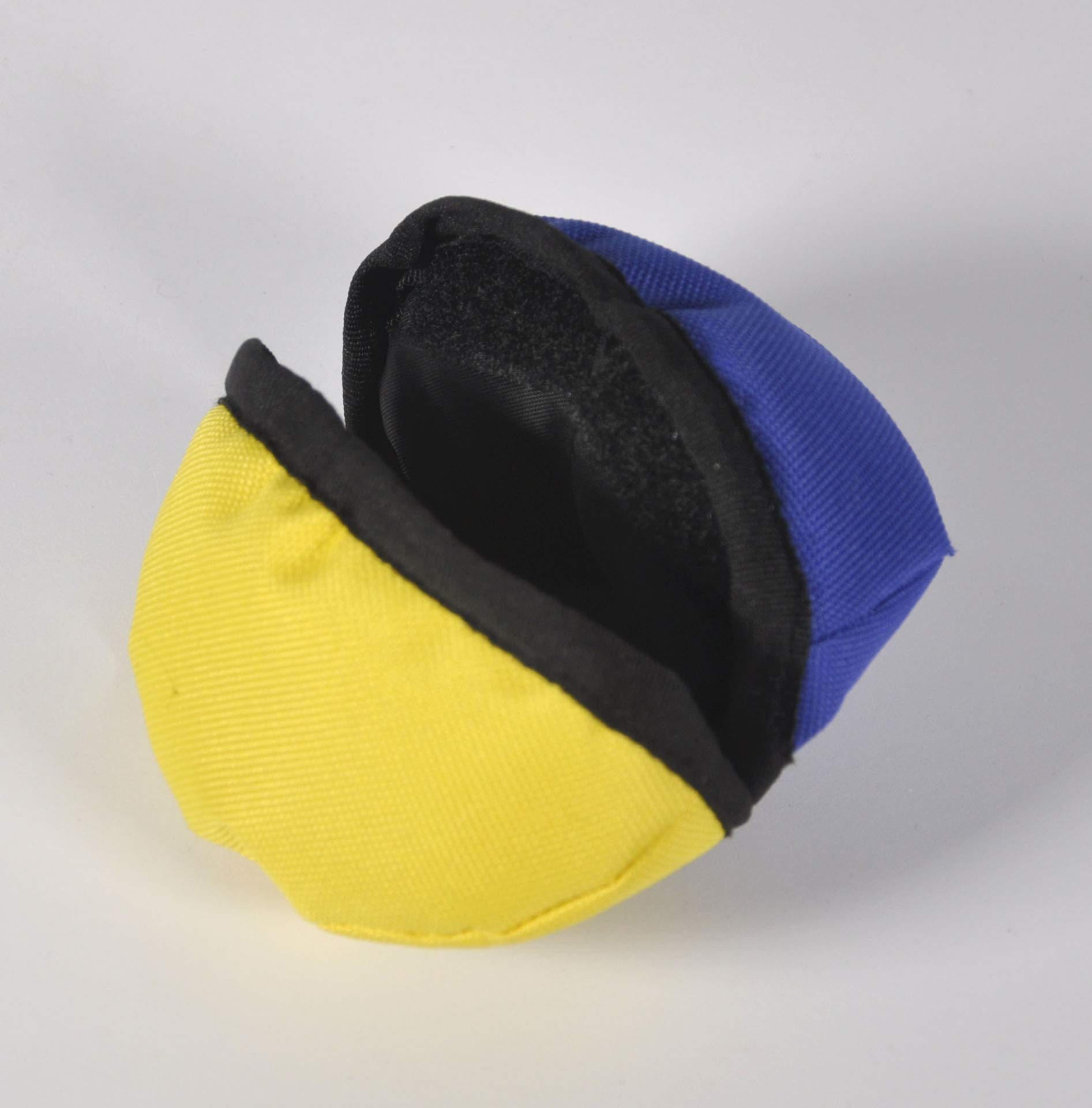 Positive Dogs The Oyster