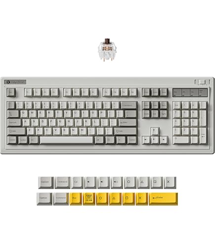 Amazon.com: FL·ESPORTS OG98 Retro Mechanical Keyboard Wireless 2.4