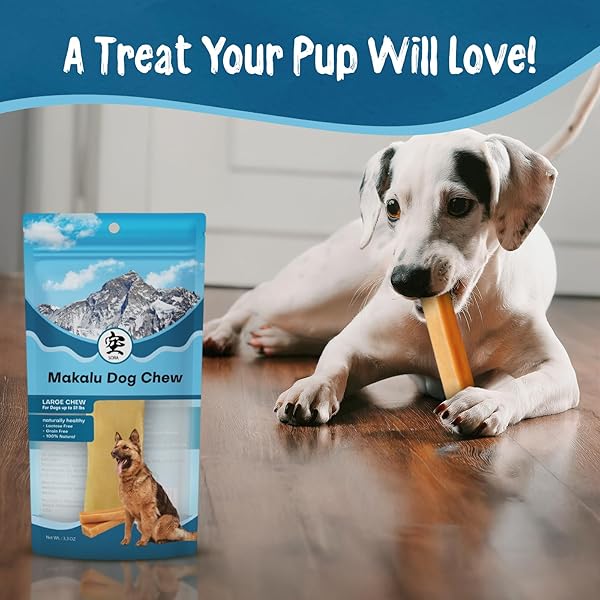 MAKALU DOG CHEW LARGE CHEWING STICKS FOR DOGS-HEALTHY YAK & COW MILK DOG TREATS FOR STRONG BONES & TEETH EASY TO DIGEST DOG CHEWS FOR AGGRESSIVE CHEWERS ODOR & MESS FREE BULLY STICKS(1 STICK PER PACK)
