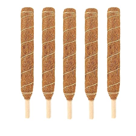 LIVEONCE Coco Pole -Moss and Coir Stick for Indoor, House and Plant Creepers Support 2 FEET -Pack of 5 -Color -Natural