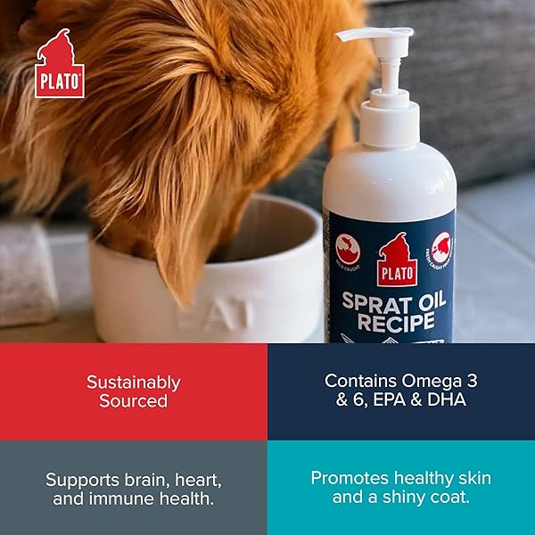 PLATO PET TREATS FISH OIL FOR DOGS – OMEGA 3 OIL FOR DOGS – SUPPORTS HEALTHY SKIN AND COAT – BALTIC SPRAT OIL RECIPE 8 OUNCES