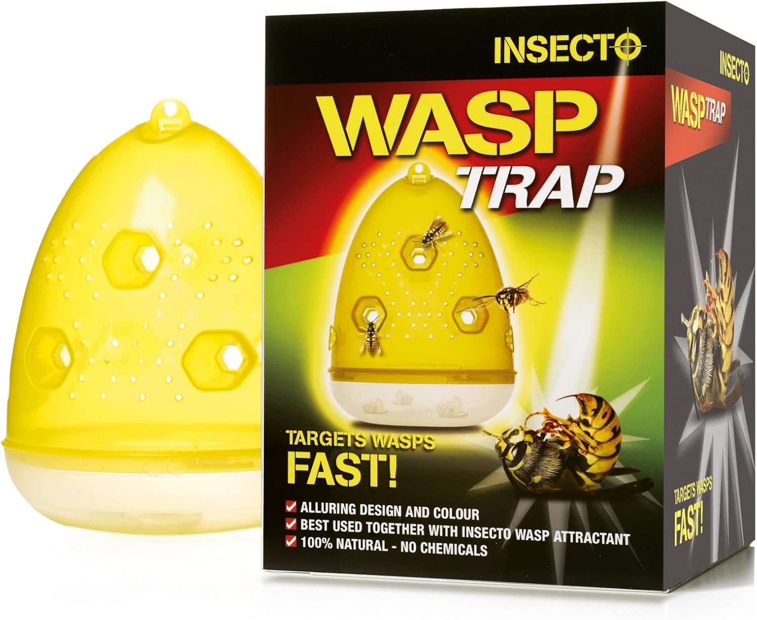 Insecto Wasp Trap: Amazon.es: Jardín