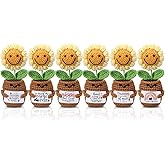 Threehoney 6 Pcs Valentines Teacher Gift Thank You for Helping Me Grow Gifts Positive Flower Crochet Teacher Appreciation Gifts Bulk Emotional Sunflower Crochet Doll for Teachers