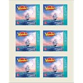 Wonders Grade 2 Reading/Writing Companion Package (ELEMENTARY CORE READING)