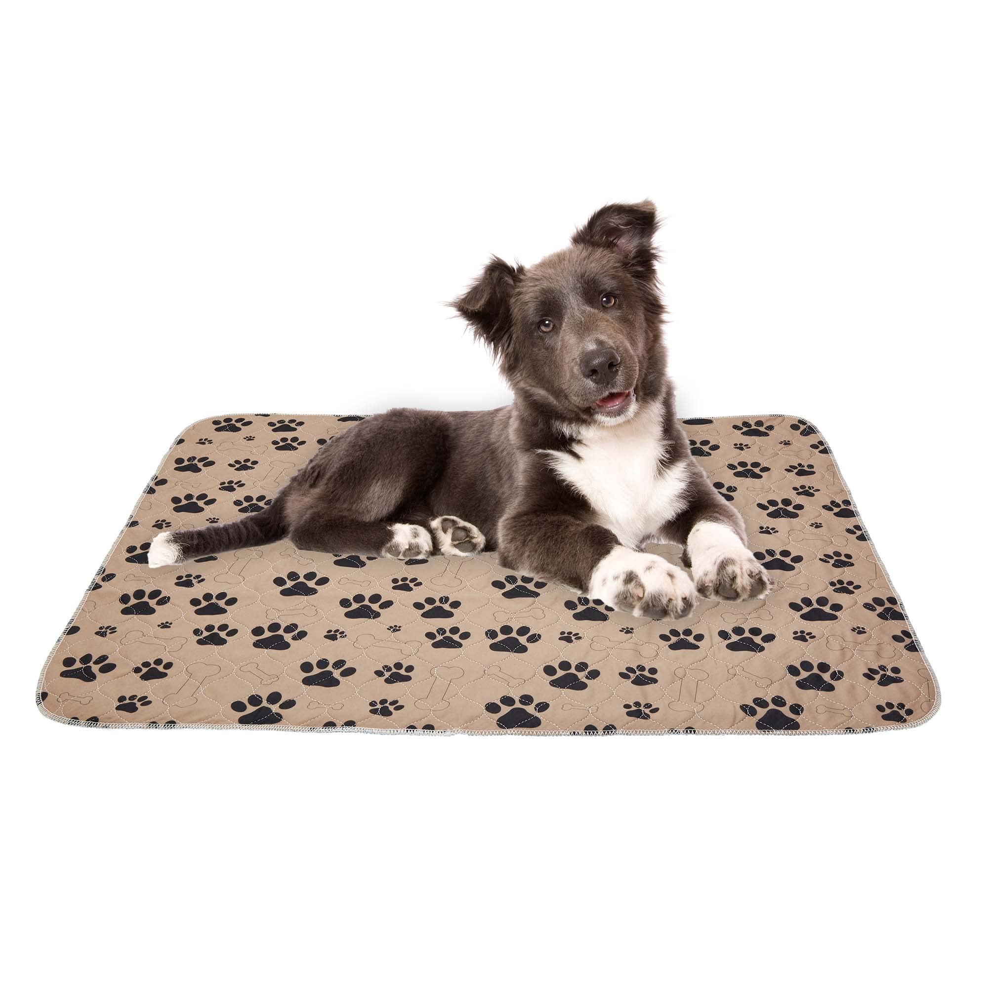 Drylife Washable XL Puppy Pads | Super Absorbent 80x90cm Puppy Pad | Anti-Slip, Quick Absorption, Locks in Pee, Odour Control for Dog and Puppy Training (Tan, 1 Pack)