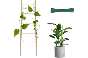 MIUWAUER Bamboo Trellis for Climbing Plants 16 Inch 4 Pack Ladder-Shaped Natural Small Bamboo Lattice Mini Wooden Plant Support Trellis Climber for Potted Houseplants Rose Pothos Monstera Indoor Outdoor Garden