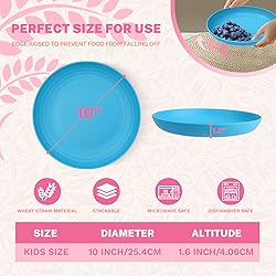 Homienly Wheat Straw Plates, 10 inch Deep Dinner